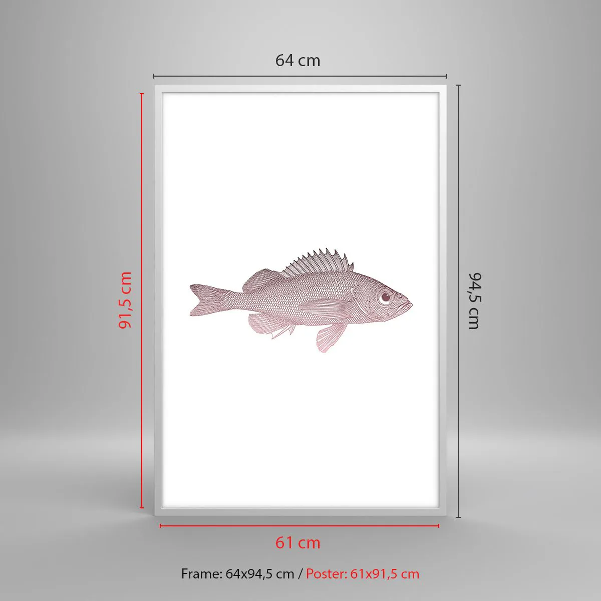 Poszter fekete keretben - Nagyszemű hal - 61x91 cm