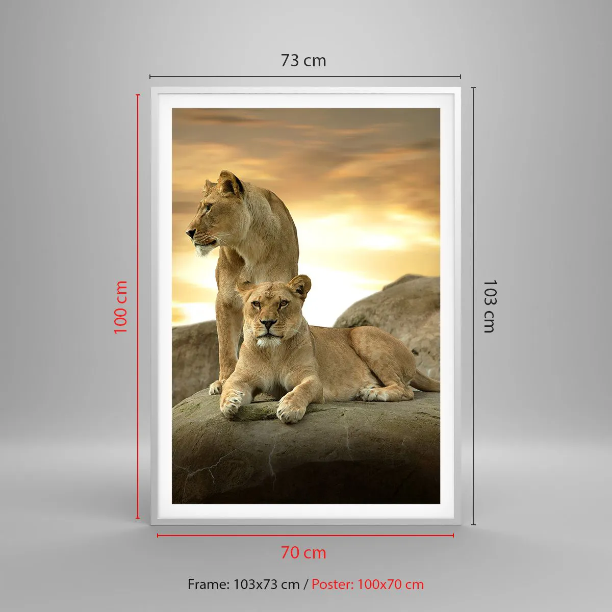 Affiche dans un cadre blanc - Poster - Majesté royale - 70x100 cm