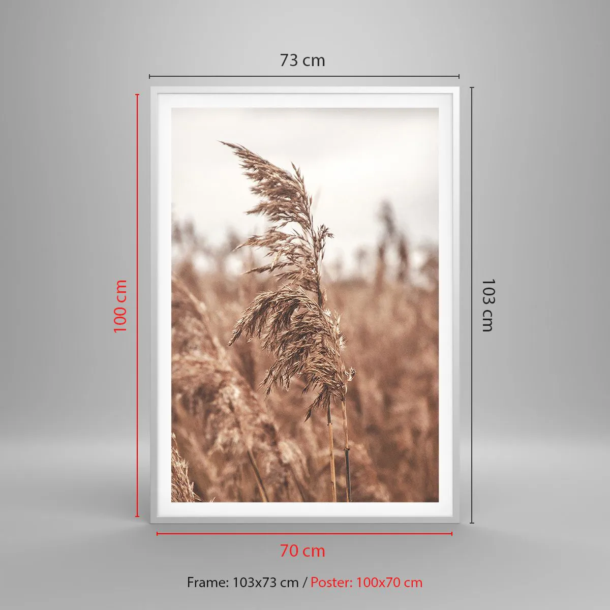 Affiche dans un cadre blanc - Poster - C'est déjà l'automne dans les champs - 70x100 cm