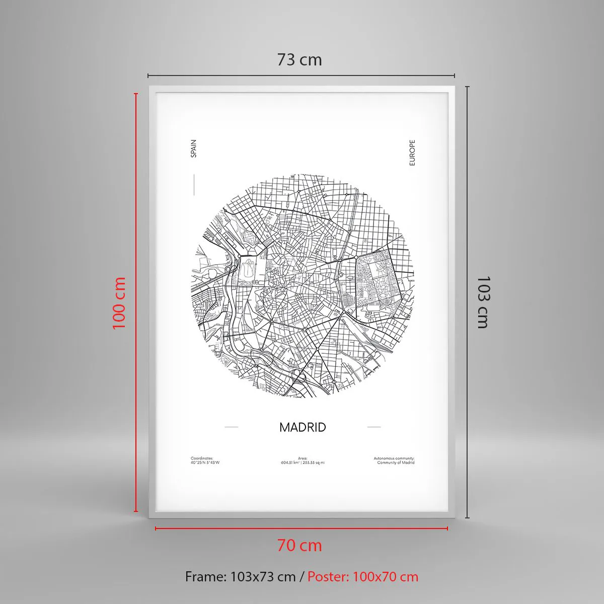 Poster in einem weißen Rahmen - Anatomie von Madrid - 70x100 cm