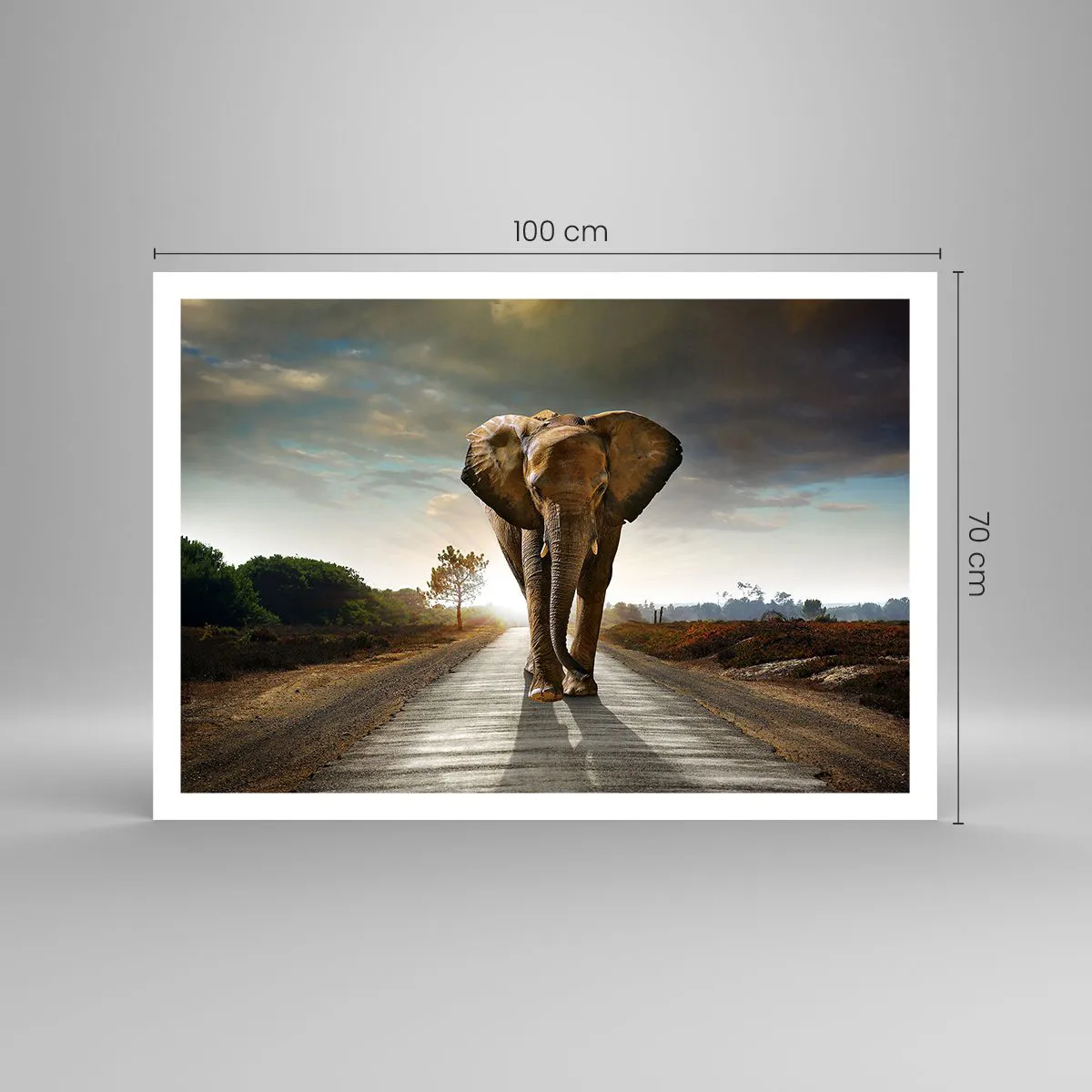 Affiche - Poster - Un éléphant marchant le long d'une route à travers un paysage au coucher du soleil - 100x70cm - Et pas du tout en porcelaine - Décoration murale moderne pour le salon et la chambre ARTTOR
