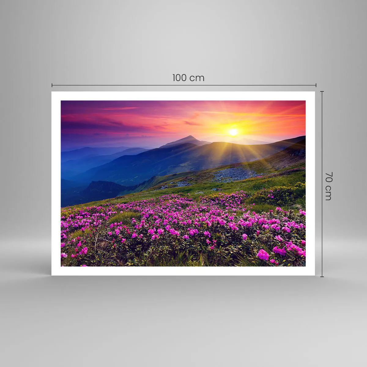 Poster - Surrounded by Mountain Pine and Herbs - 100x70 cm