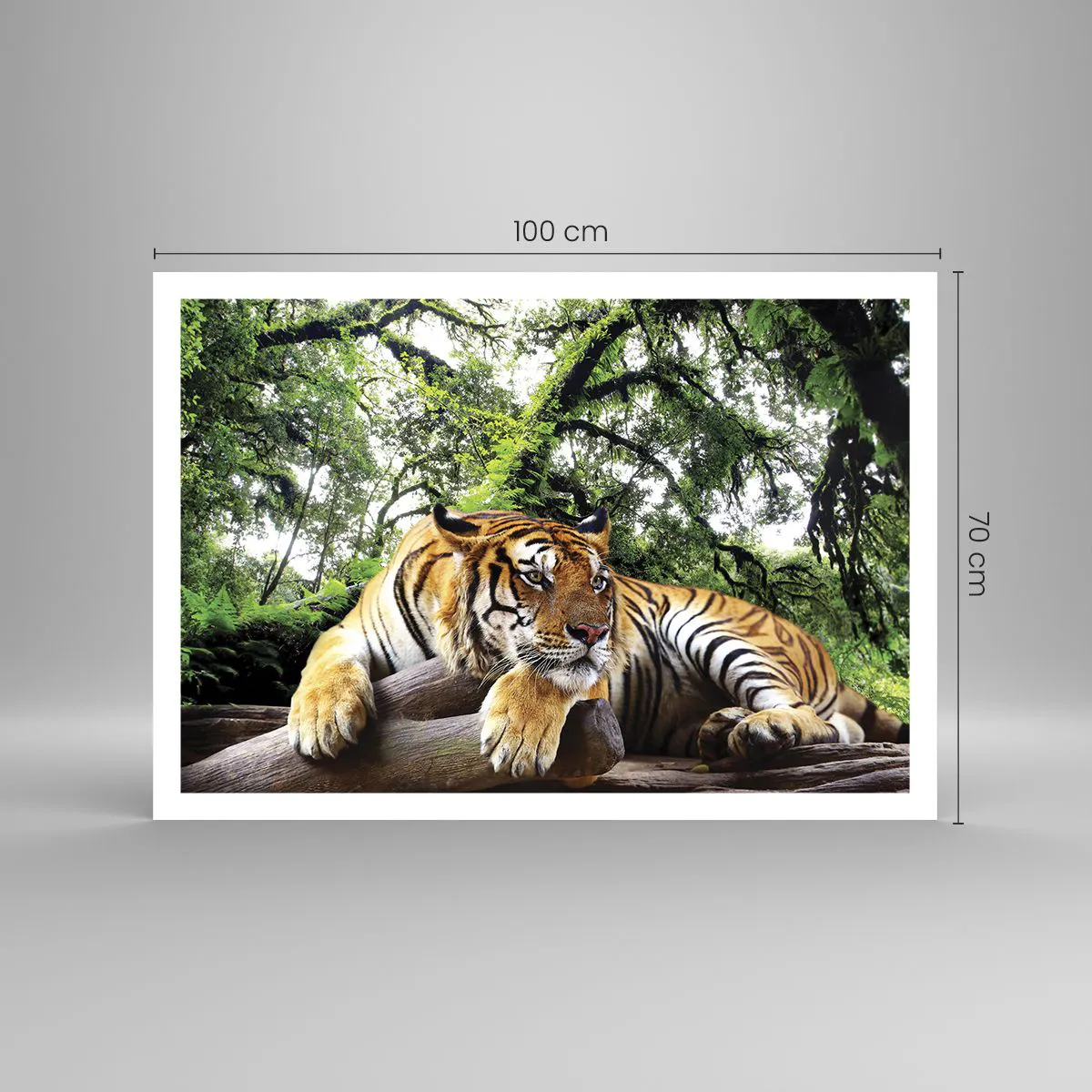 Póster - Un tigre descansando en un bosque tropical. - 100x70cm - Atentamente - Decoración de pared moderna para salón y dormitorio ARTTOR
