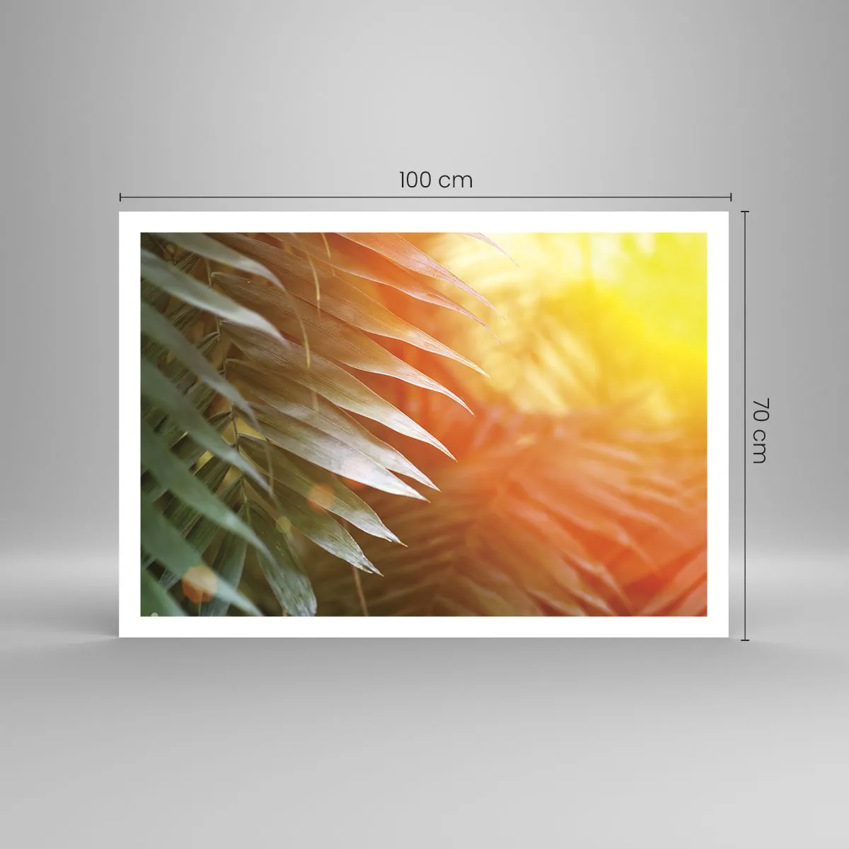 Poster - Palmblätter in den Strahlen des Sonnenuntergangs - 100x70cm - Morgen im Dschungel - Moderne Wanddekoration für Wohnzimmer und Schlafzimmer ARTTOR