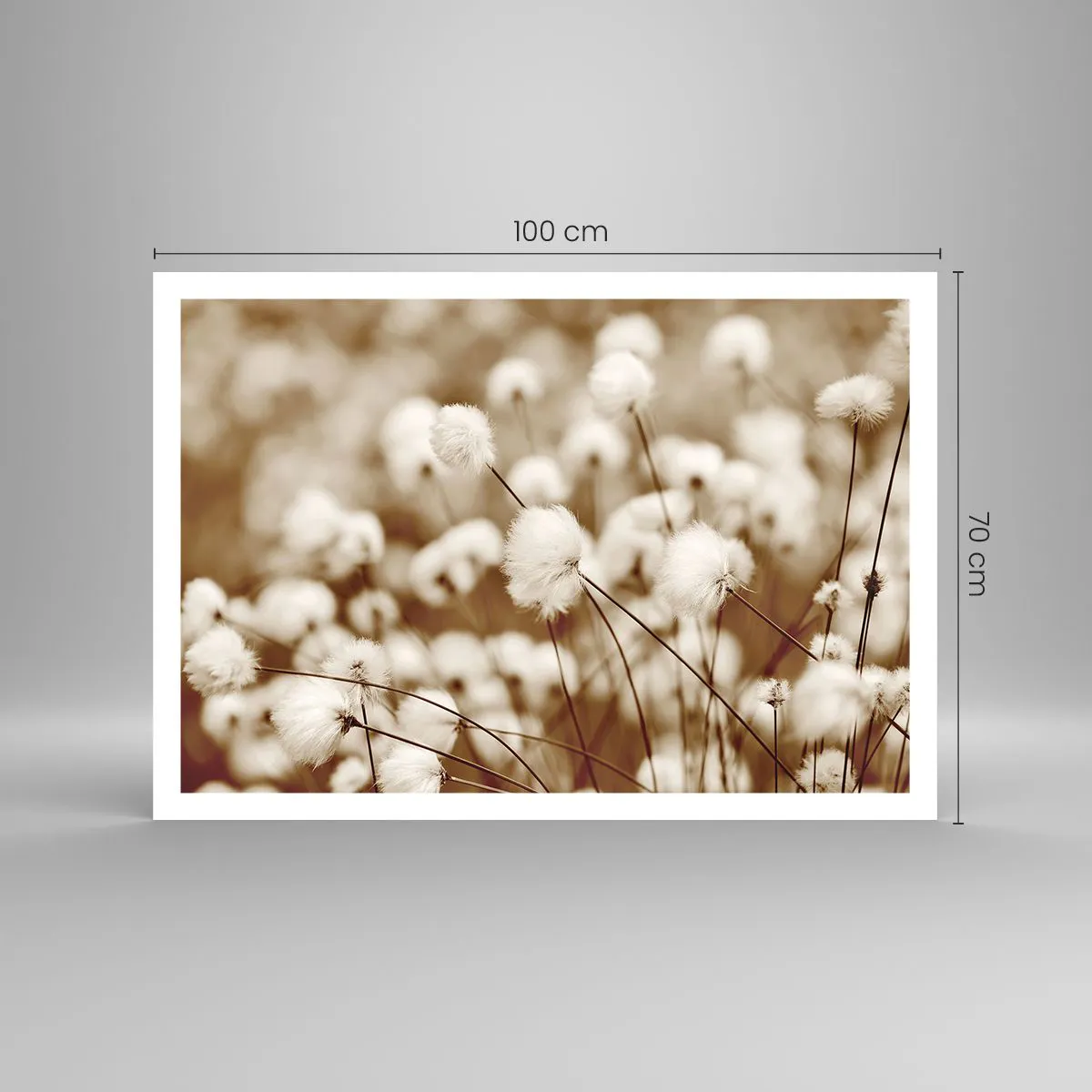Póster - Un campo de delicadas plantas en tonos sepia. - 100x70cm - Un mullido colchón - Decoración de pared moderna para salón y dormitorio ARTTOR