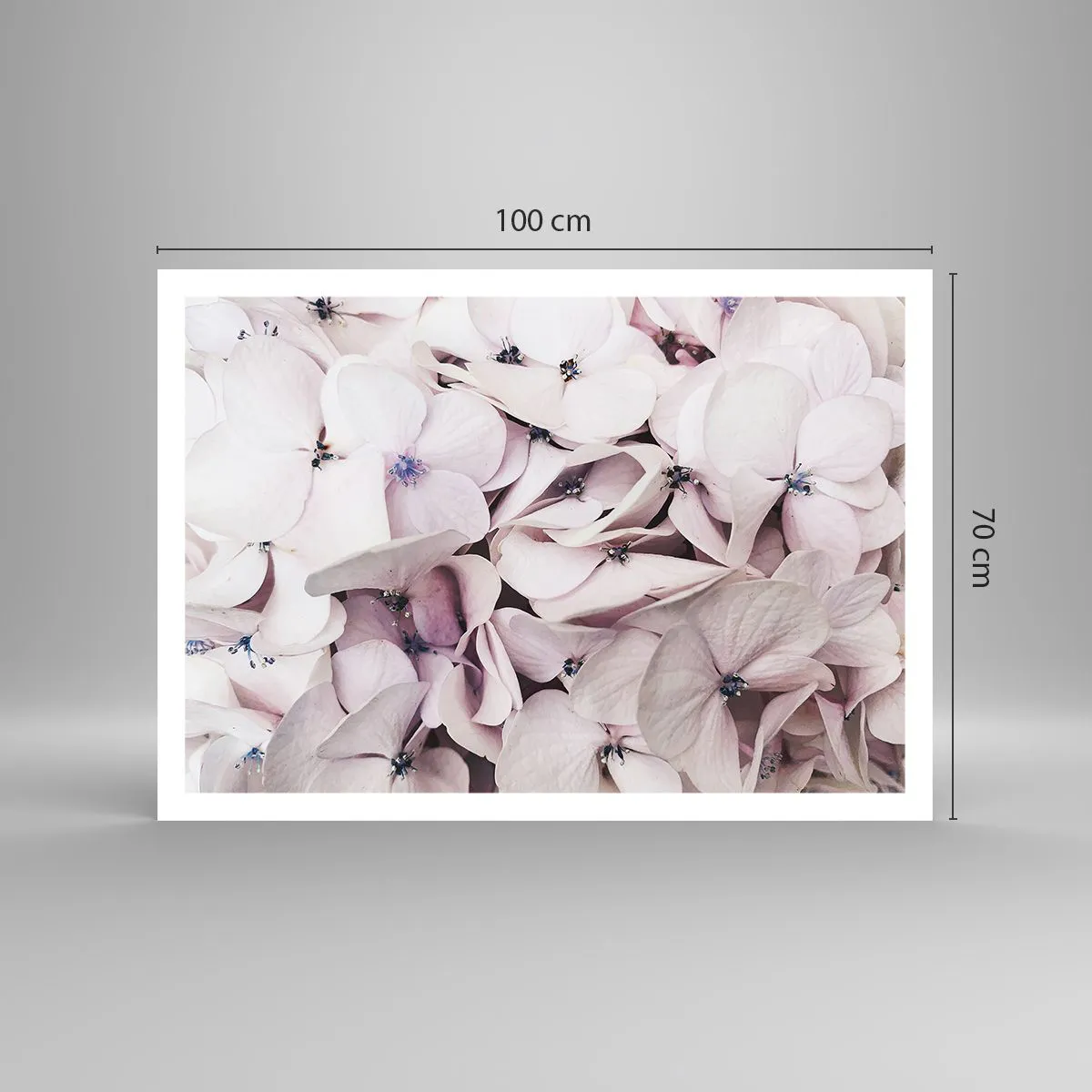 Poster - Într-un potop de flori - 100x70 cm