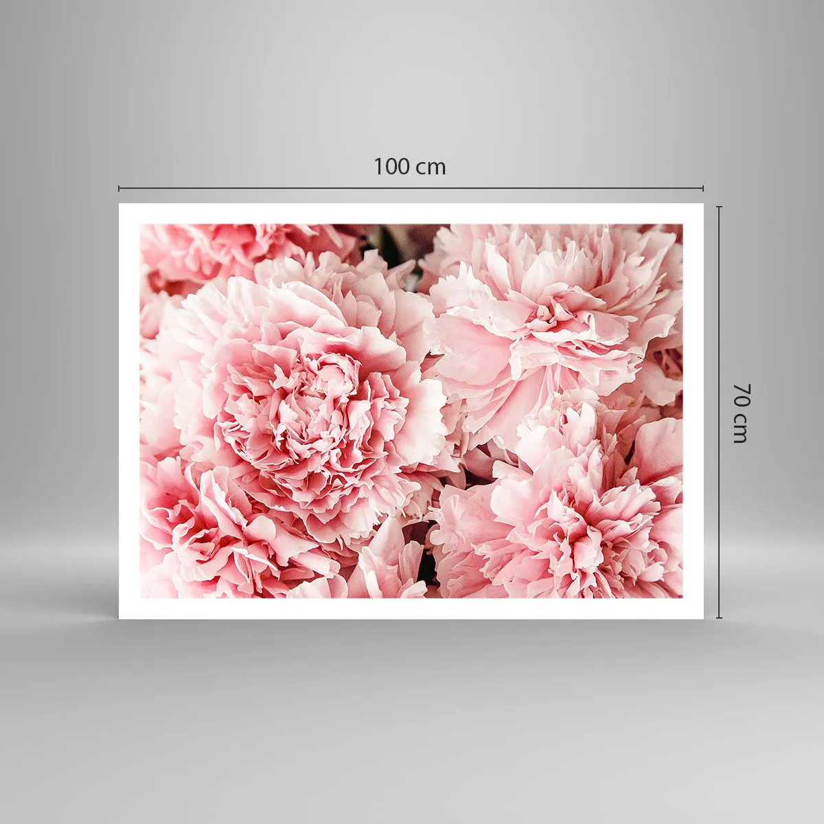 Plakat - Lyserød drøm - 100x70 cm