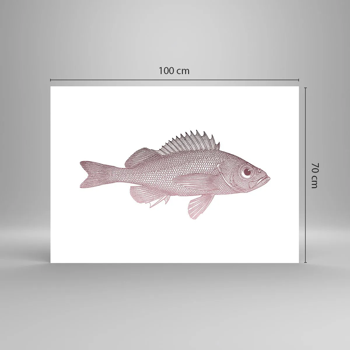 Poster - Detaillierte Darstellung eines Fisches auf weißem Hintergrund - 100x70cm - Großäugiger Fisch - Moderne Wanddekoration für Wohnzimmer und Schlafzimmer ARTTOR