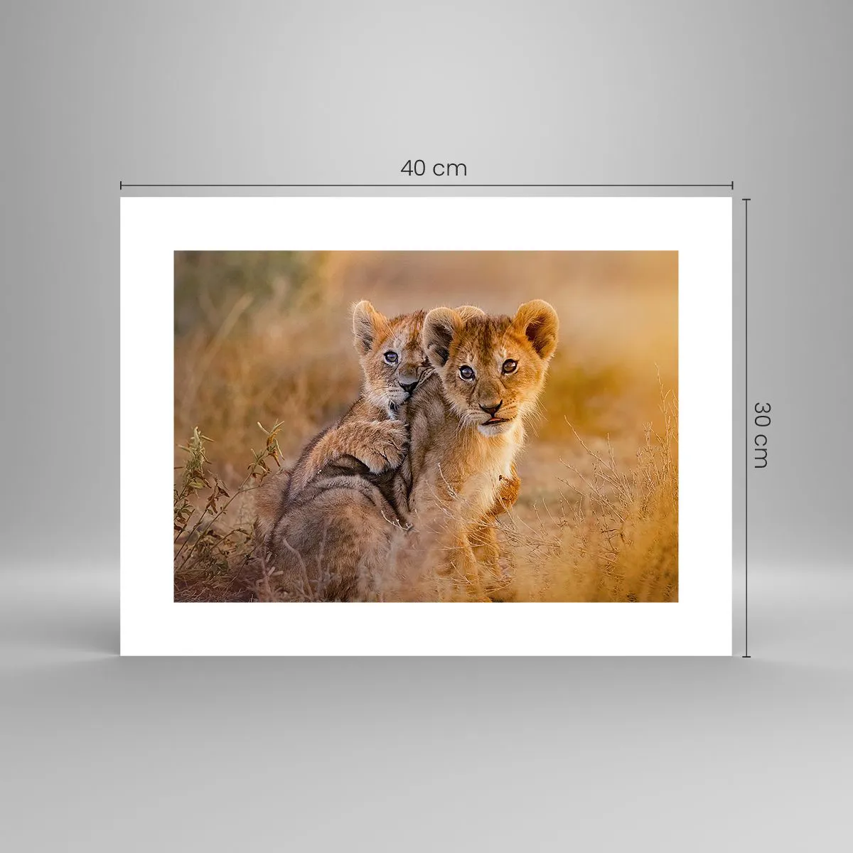 Plakat - Nie przeszkadzać! Bawimy się - 40x30 cm