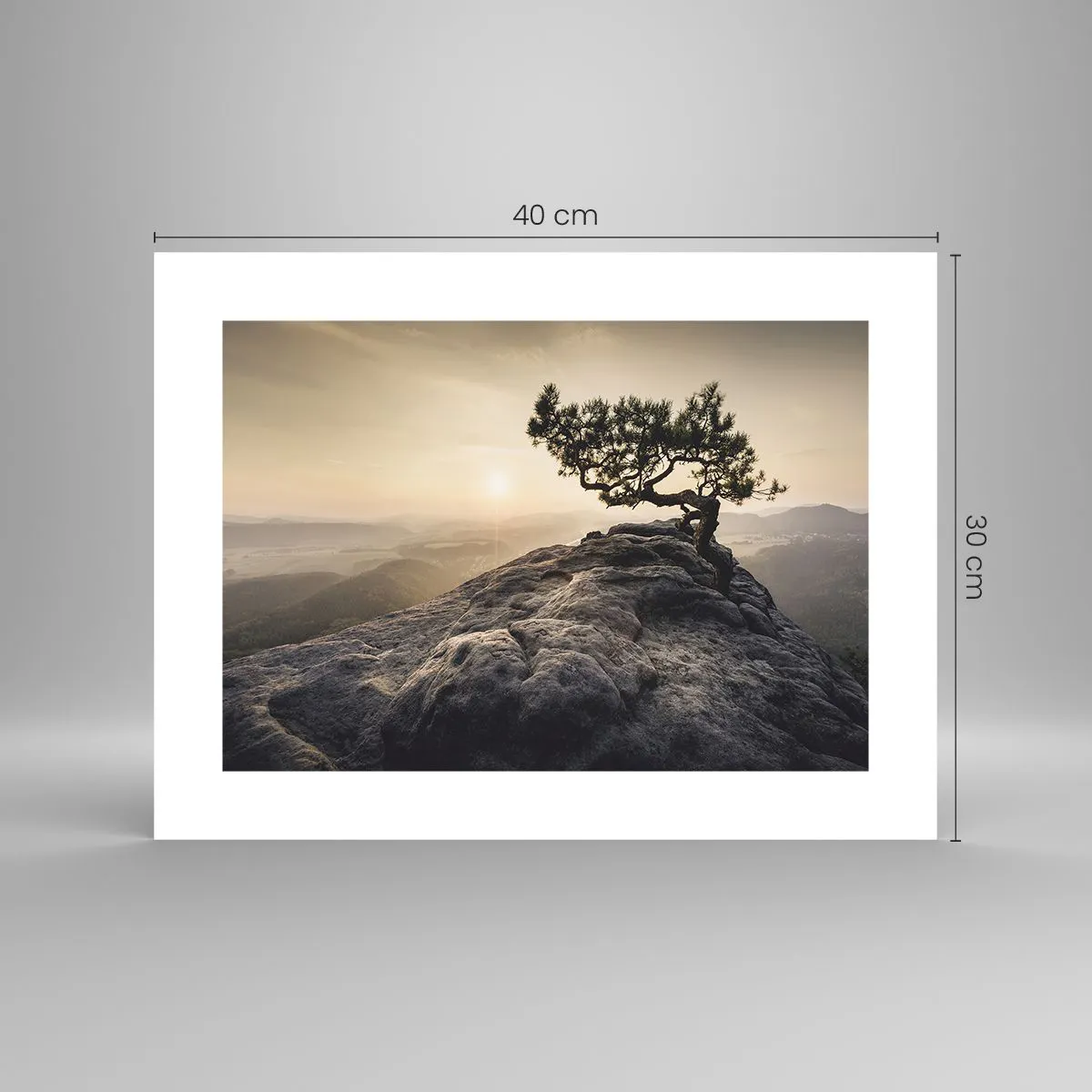 Poszter - Az élet mindig győz - 40x30 cm