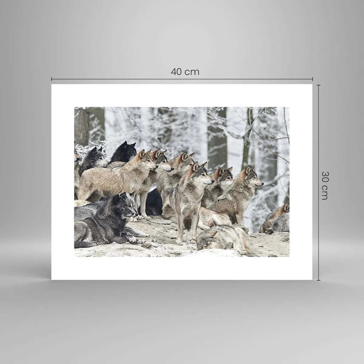 Plakat - Rodzina i przyjaciele - 40x30 cm