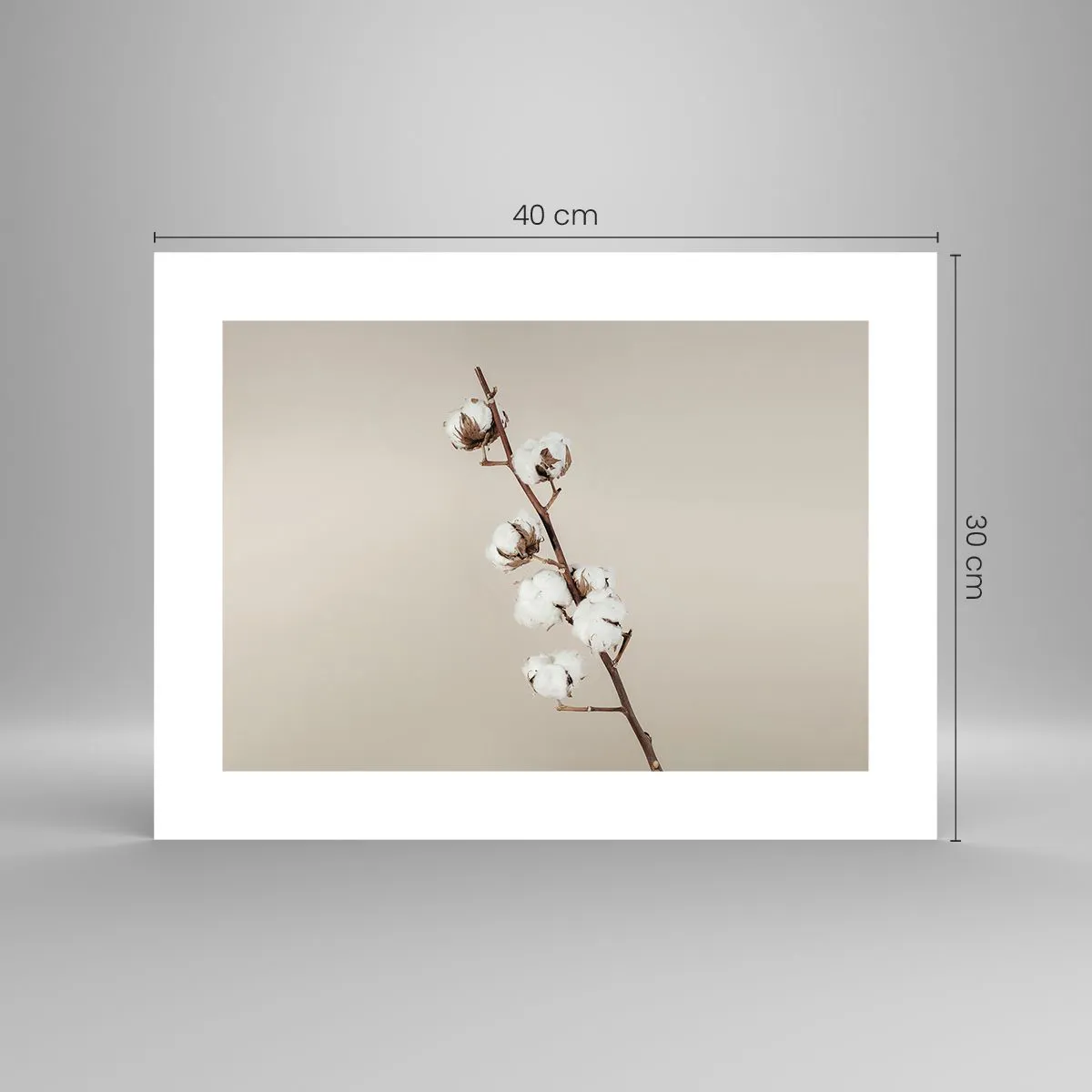 Plakát - U zdroje měkkosti - 40x30 cm