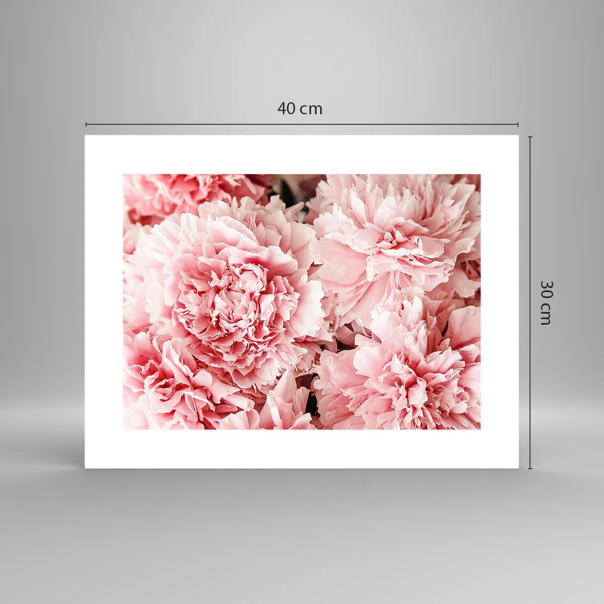 Plakat - Różowe marzenie - 40x30 cm