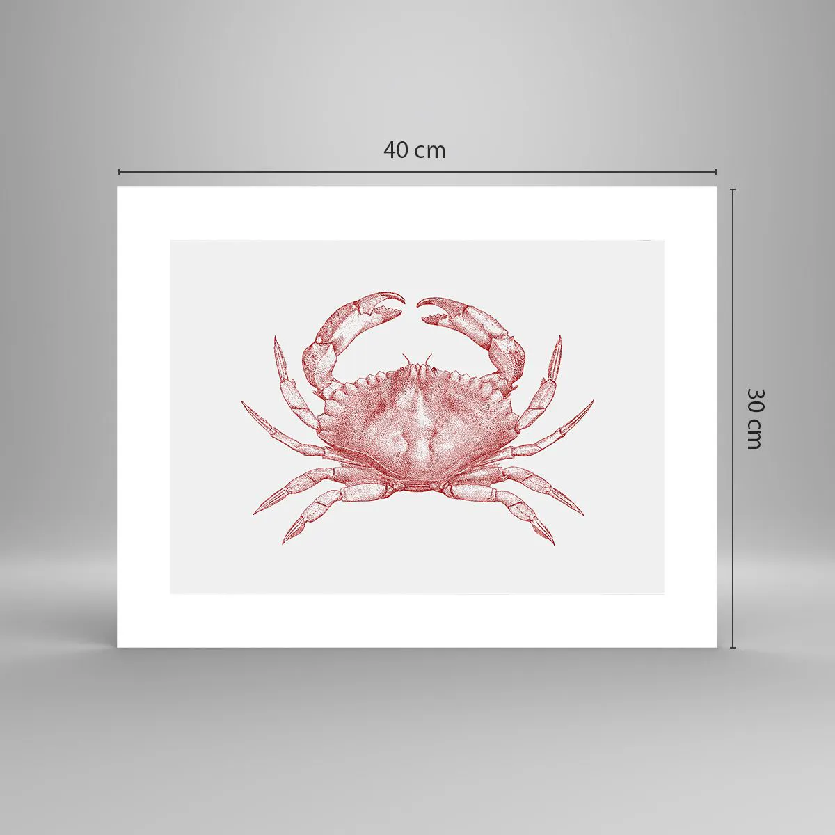 Poster - Crab Like No Other - 40x30 cm