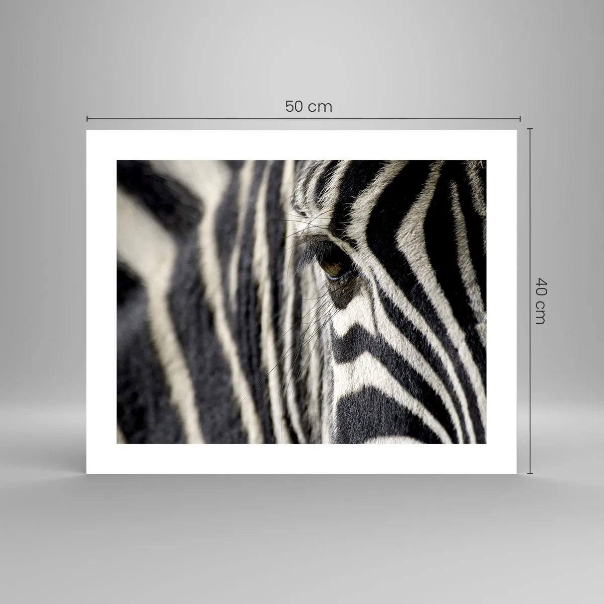 Poster - Striped Portrait - 50x40 cm