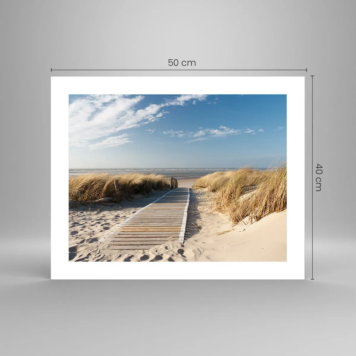 Poster - Behind a Dune, in the Hum of Trees - 50x40 cm