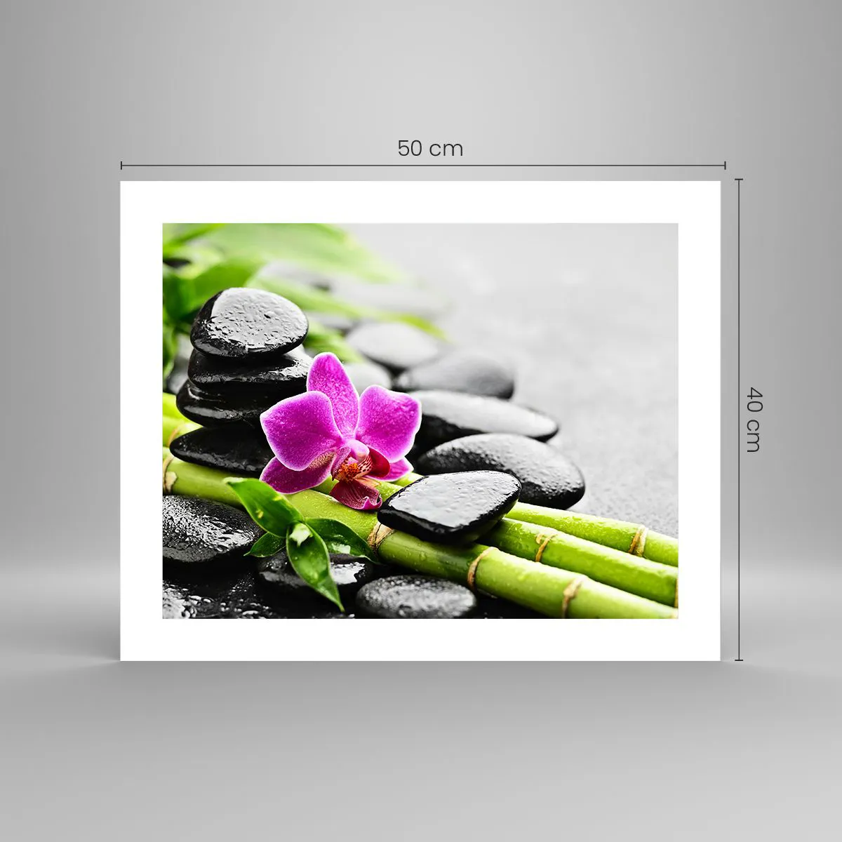 Affiche - Poster - Dans un équilibre de calme - 50x40 cm