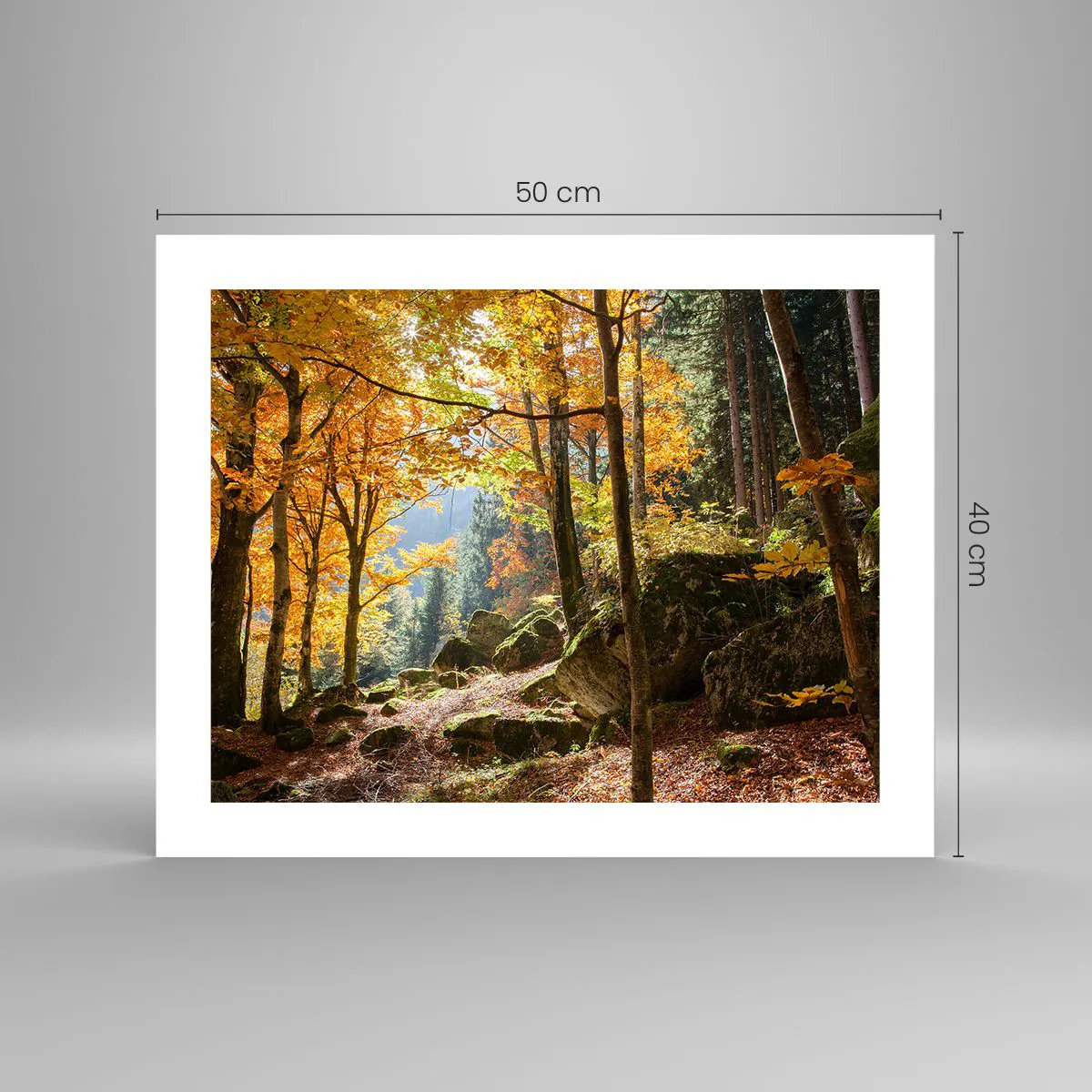 Affisch - Dags att vila - 50x40 cm