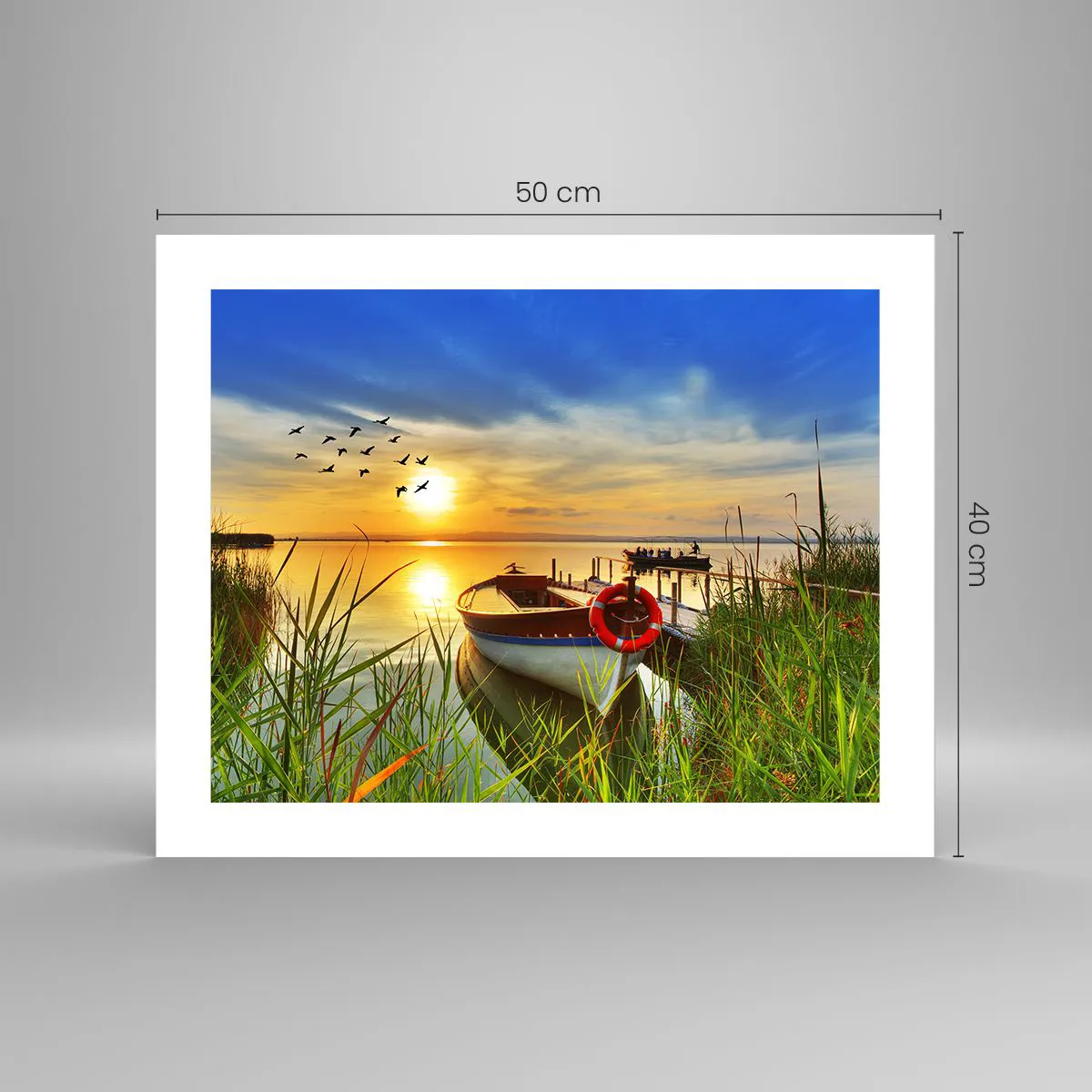 Poszter - A kormoránok már repülnek el - 50x40 cm