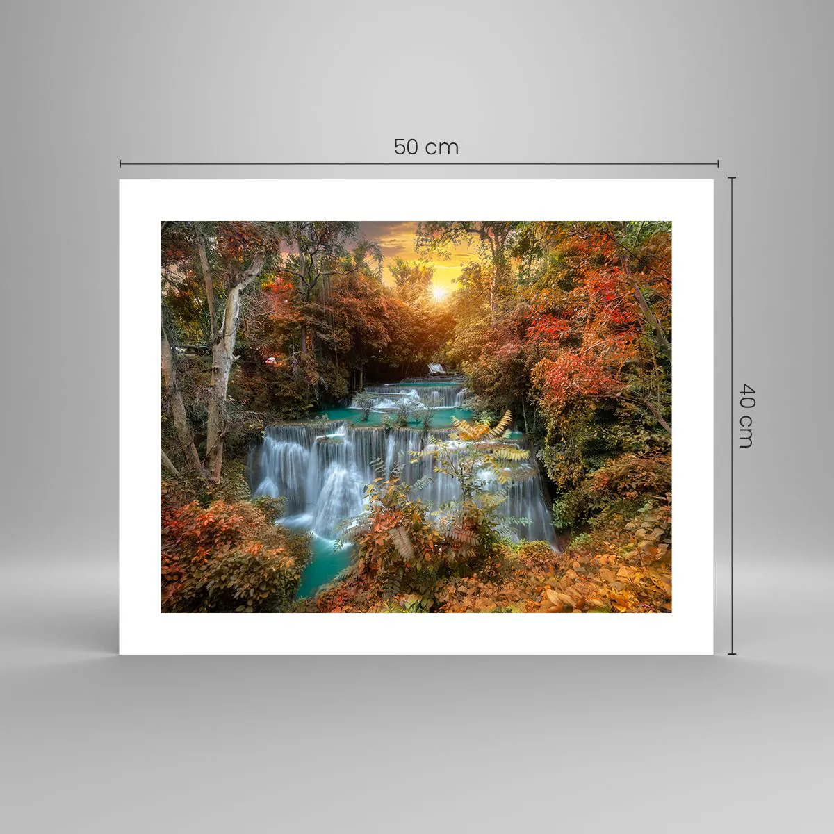 Plakát - Ukrytý poklad lesa - 50x40 cm