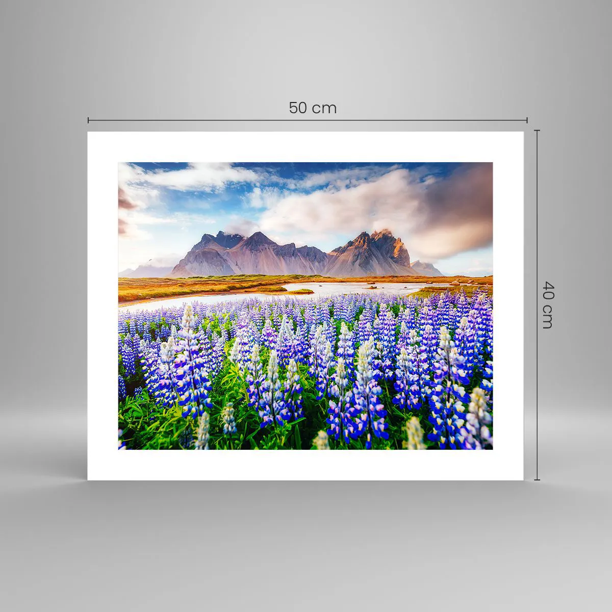 Poszter - Erő és szigorúság a szelídség mellett - 50x40 cm