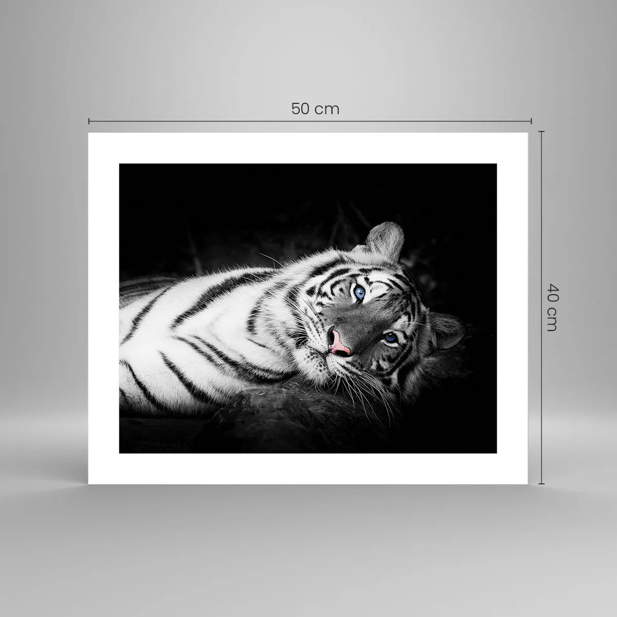 Affiche - Poster - Sauvagerie et paix - 50x40 cm