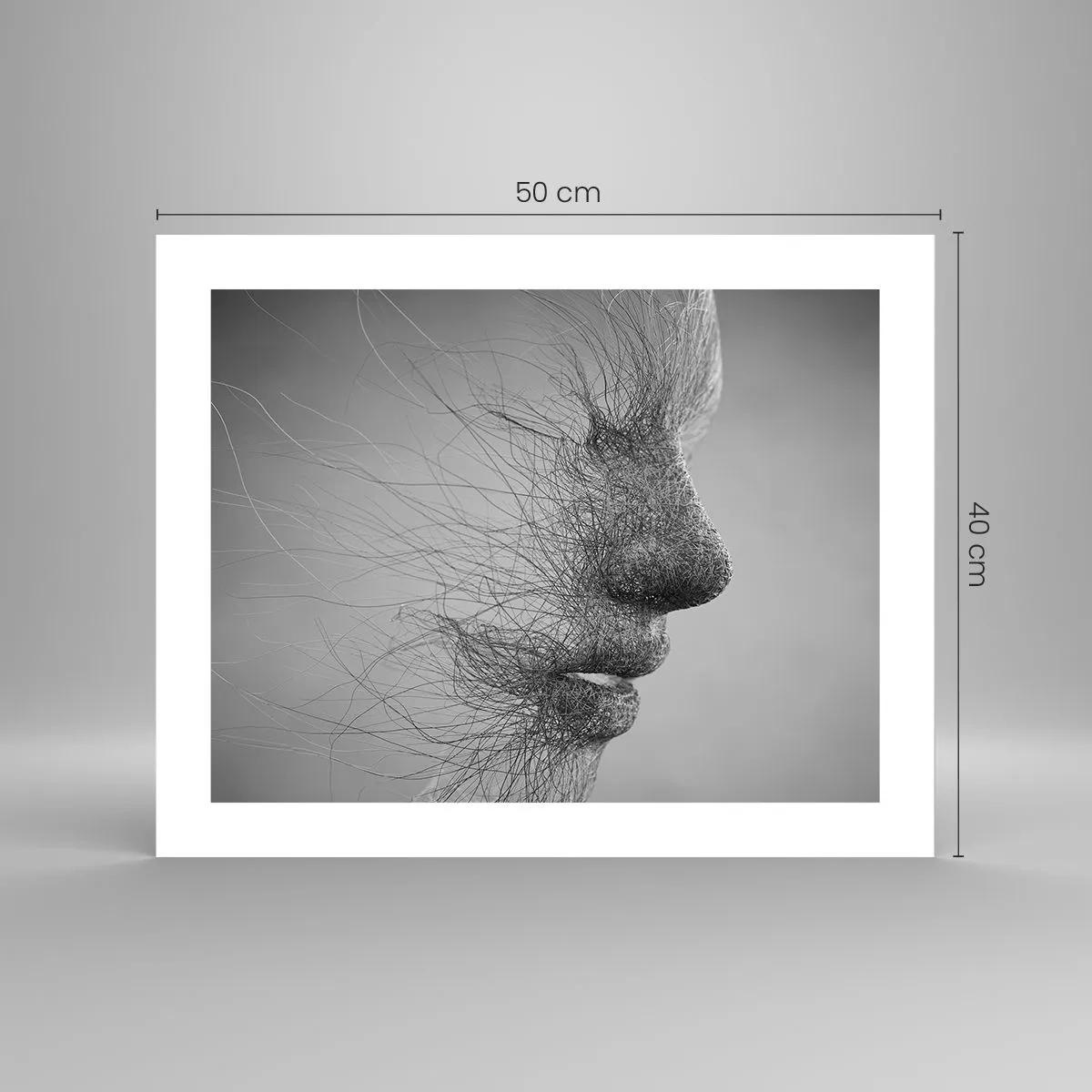 Affiche - Poster - L'esprit du vent - 50x40 cm