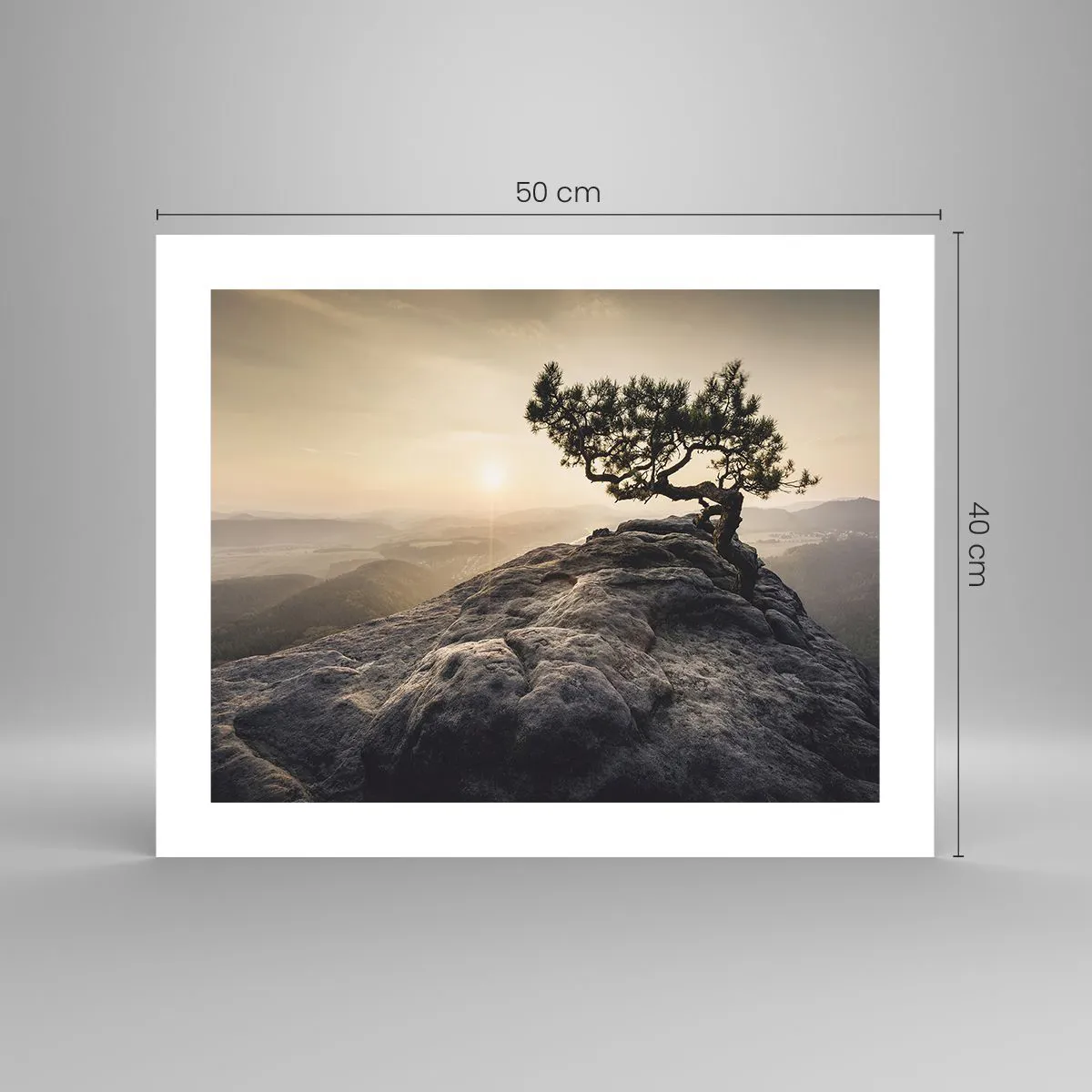 Poster - Life Always Wins - 50x40 cm