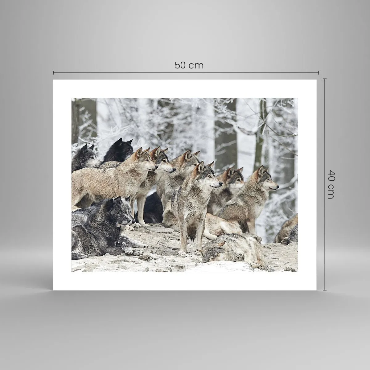 Plakat - Familie og venner - 50x40 cm