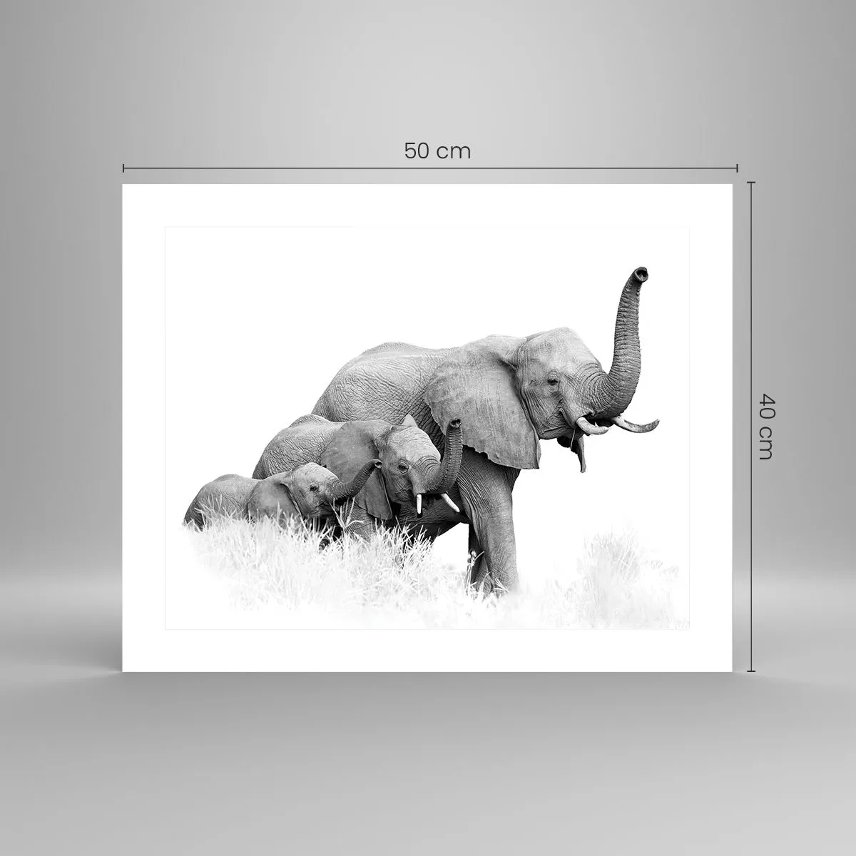 Plakát - Jedna, dvě, tři - 50x40 cm