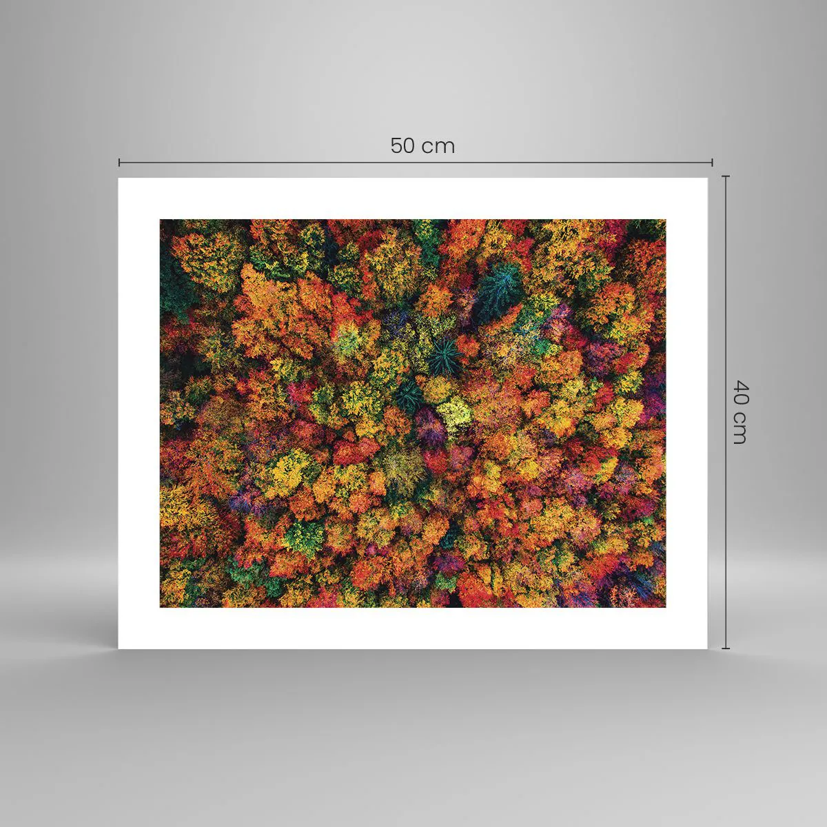 Poszter - Őszi facsokor - 50x40 cm