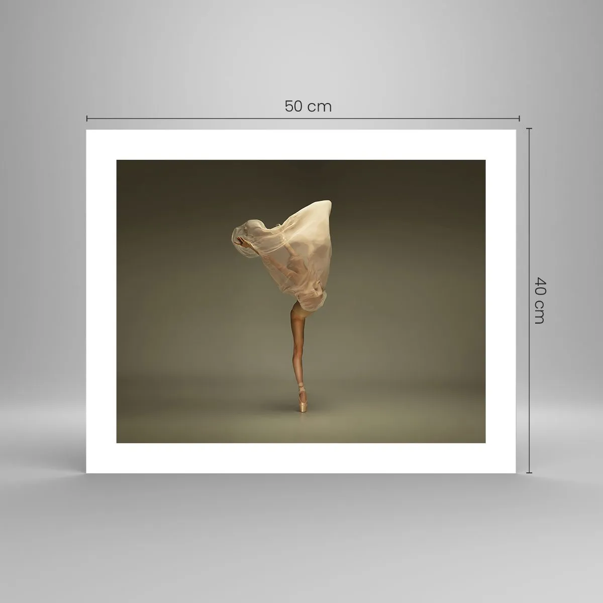 Affiche - Poster - Il va bientôt s'envoler - 50x40 cm