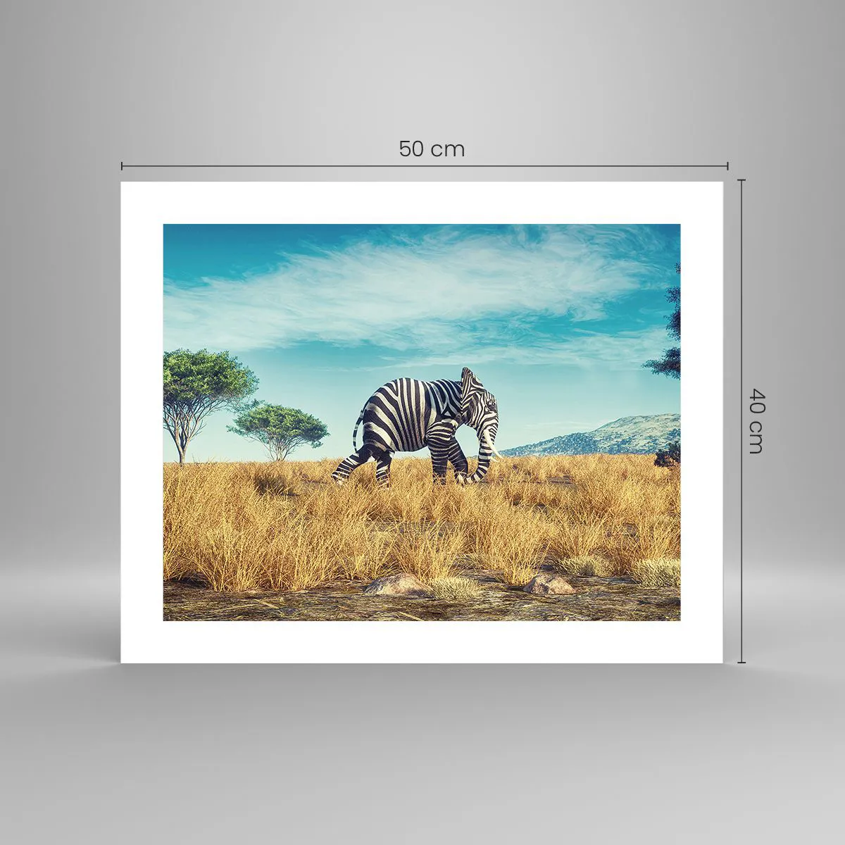 Plagát - Šedá už nie je v móde - 50x40 cm