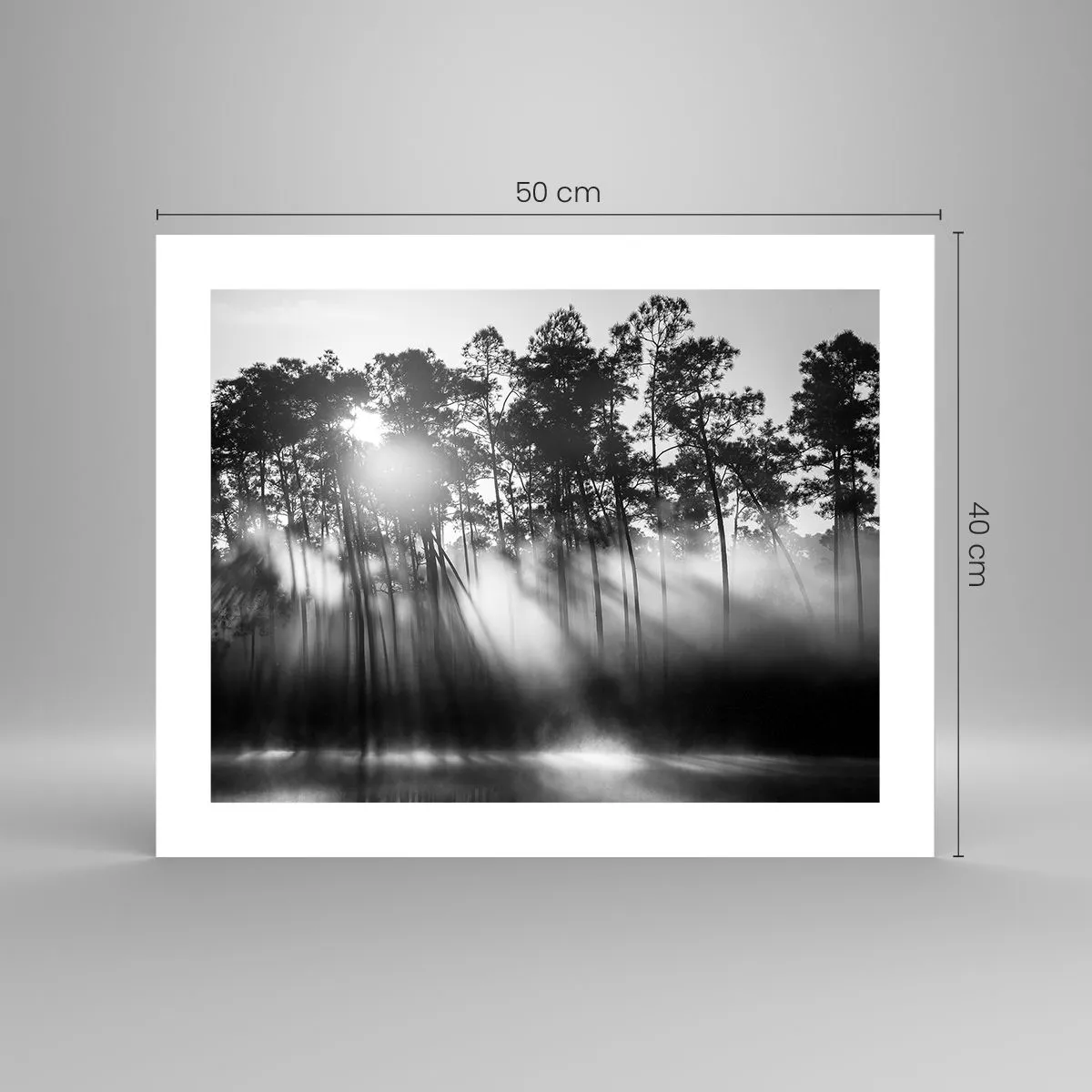 Plakat - Niepowstrzymane słońce - 50x40 cm