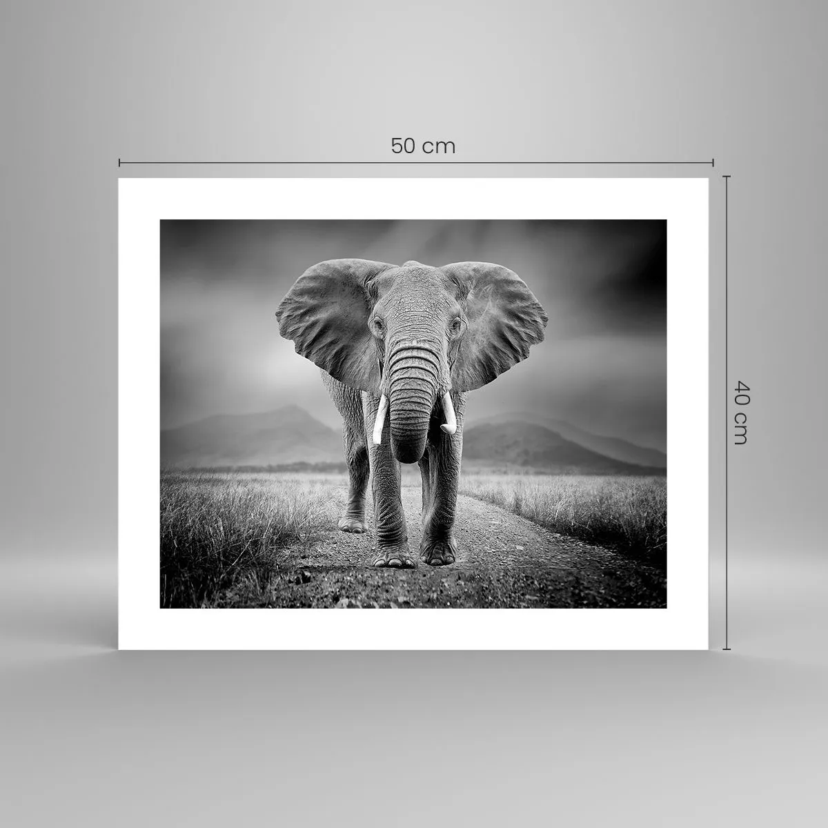 Pôster - O anfitrião dá as boas-vindas - 50x40 cm