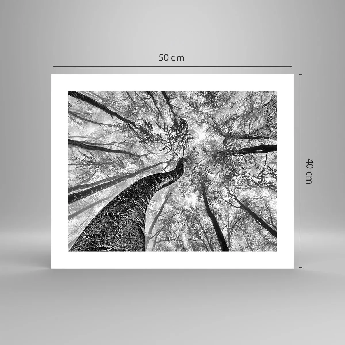 Plakat - Kapløb mod lyset - 50x40 cm