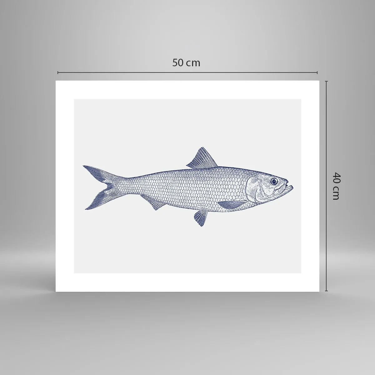 Plakat - Pozdrowienia z północnych mórz - 50x40 cm