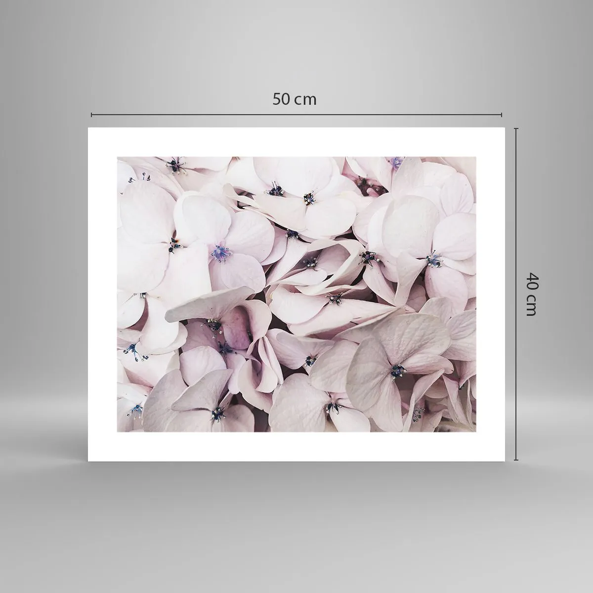 Poster - Într-un potop de flori - 50x40 cm