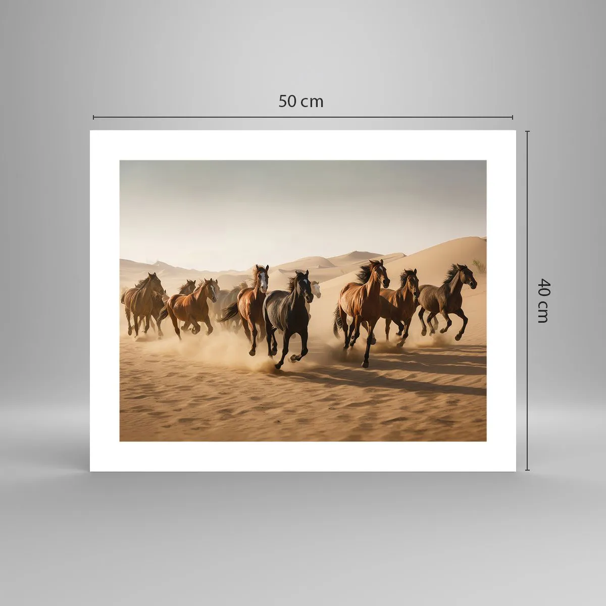 Poster - Free as a Wind - 50x40 cm