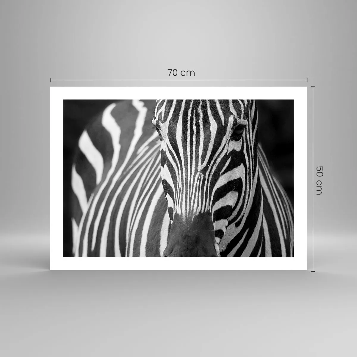 Plakat - Verden er sort og hvid - 70x50 cm