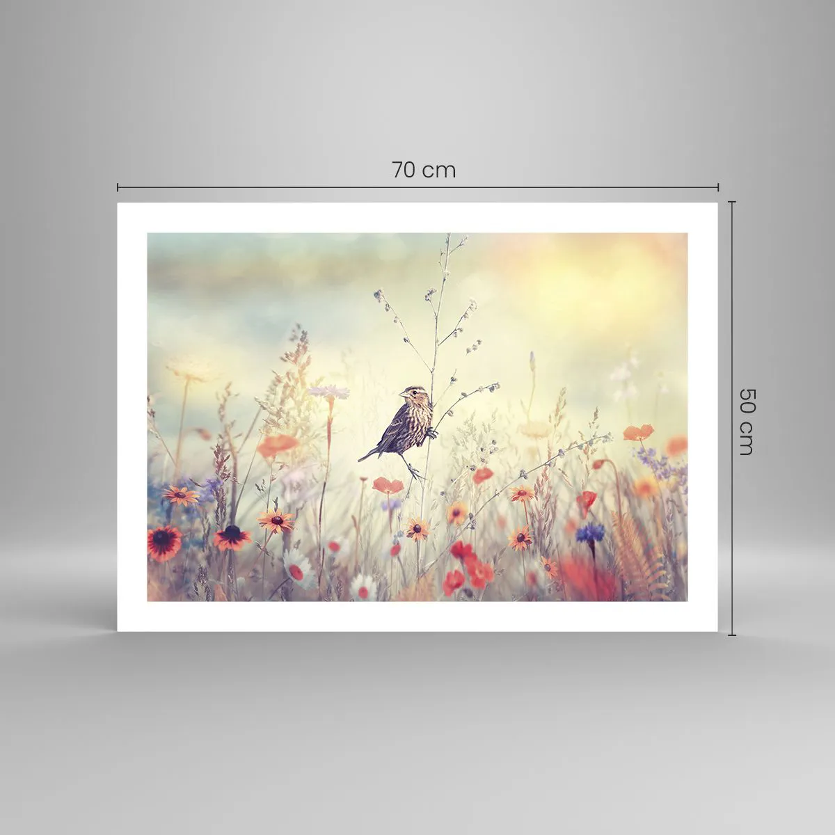 Plagát - Portrét vtáka s lúkou v pozadí - 70x50 cm