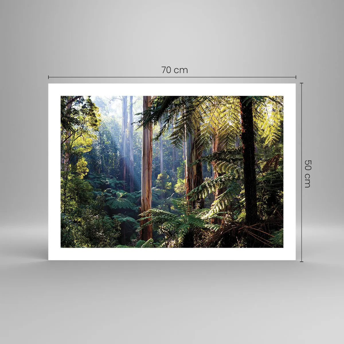 Plakát - Povídka lesa - 70x50 cm