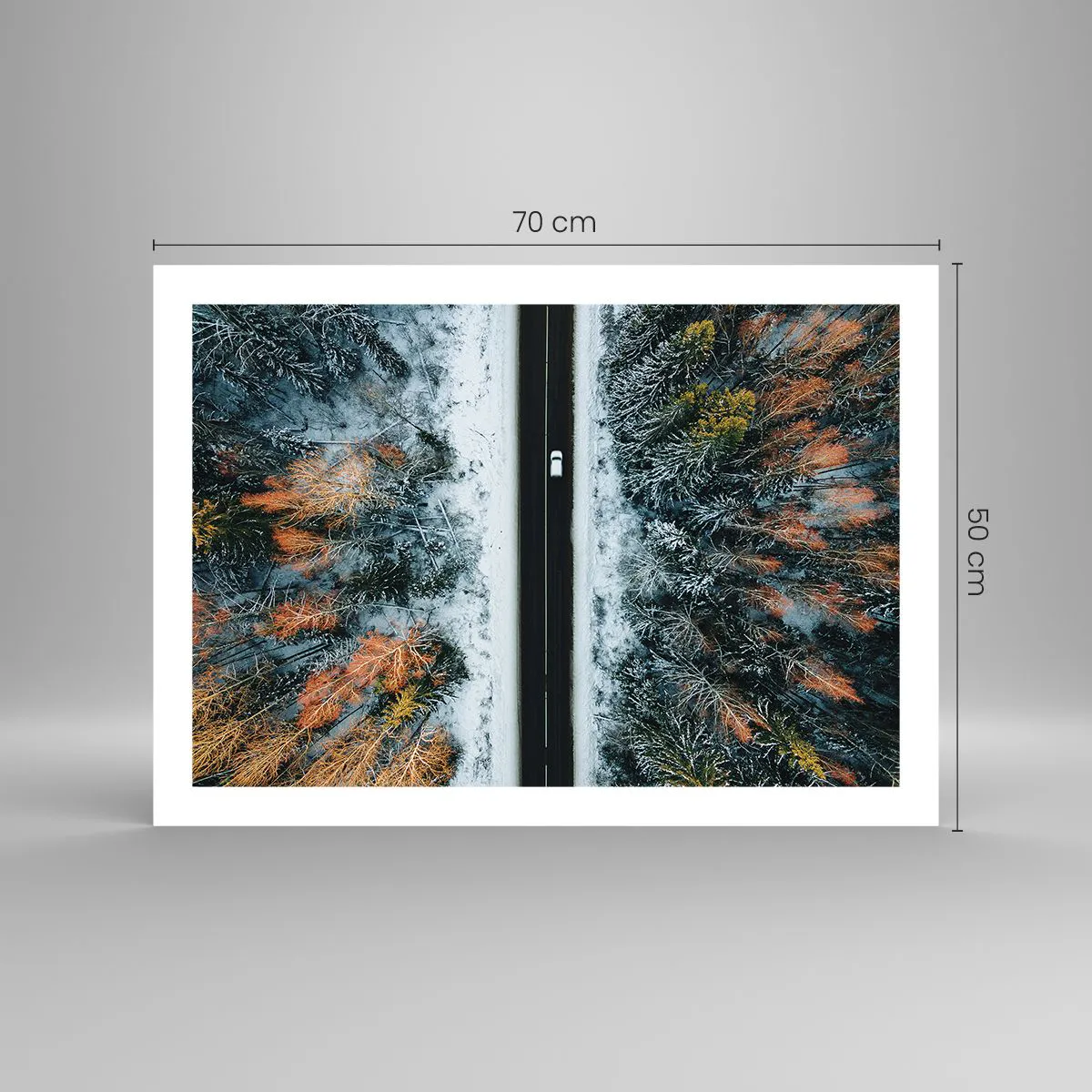 Affiche - Poster - Couper à travers la forêt d'hiver - 70x50 cm