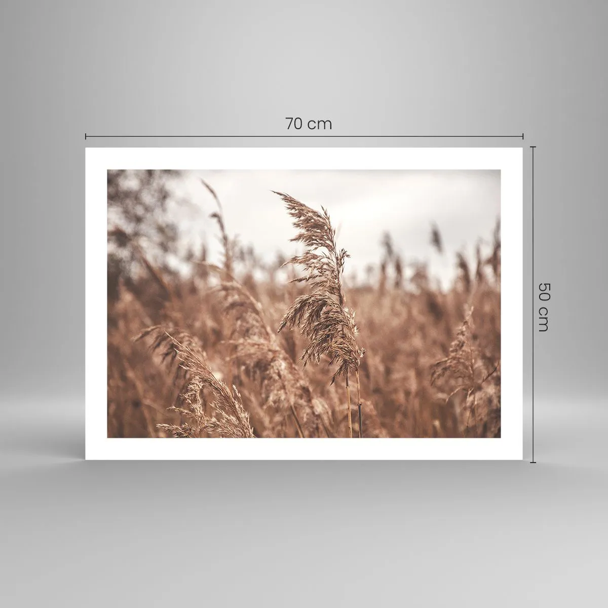 Affiche - Poster - C'est déjà l'automne dans les champs - 70x50 cm