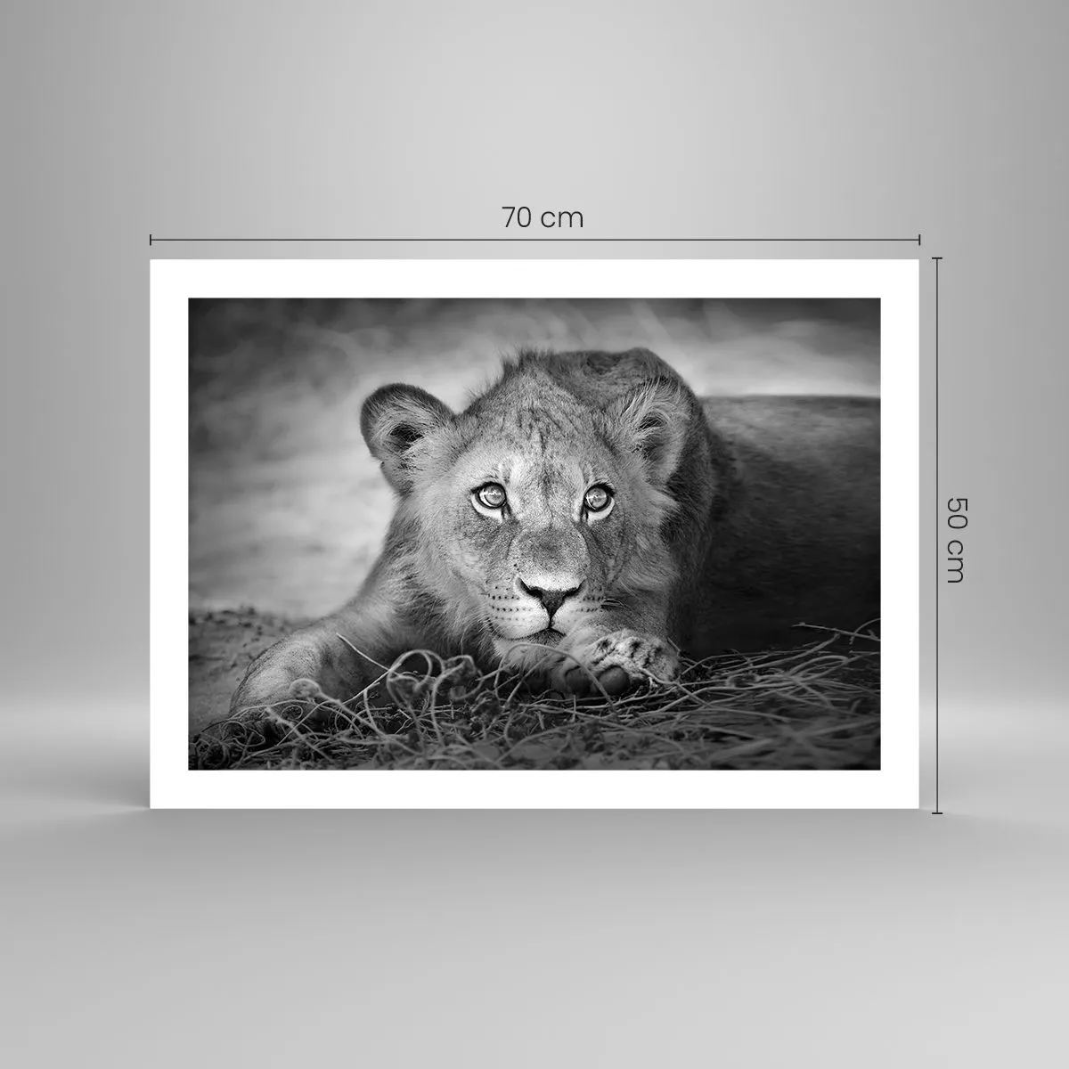 Plakát - Královské štěně - 70x50 cm