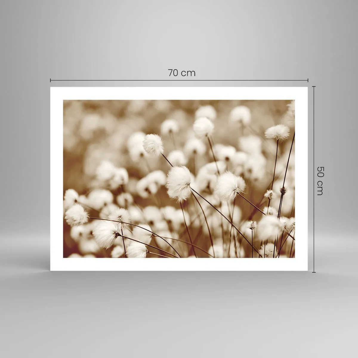 Plakát - Chlupatý lán - 70x50 cm