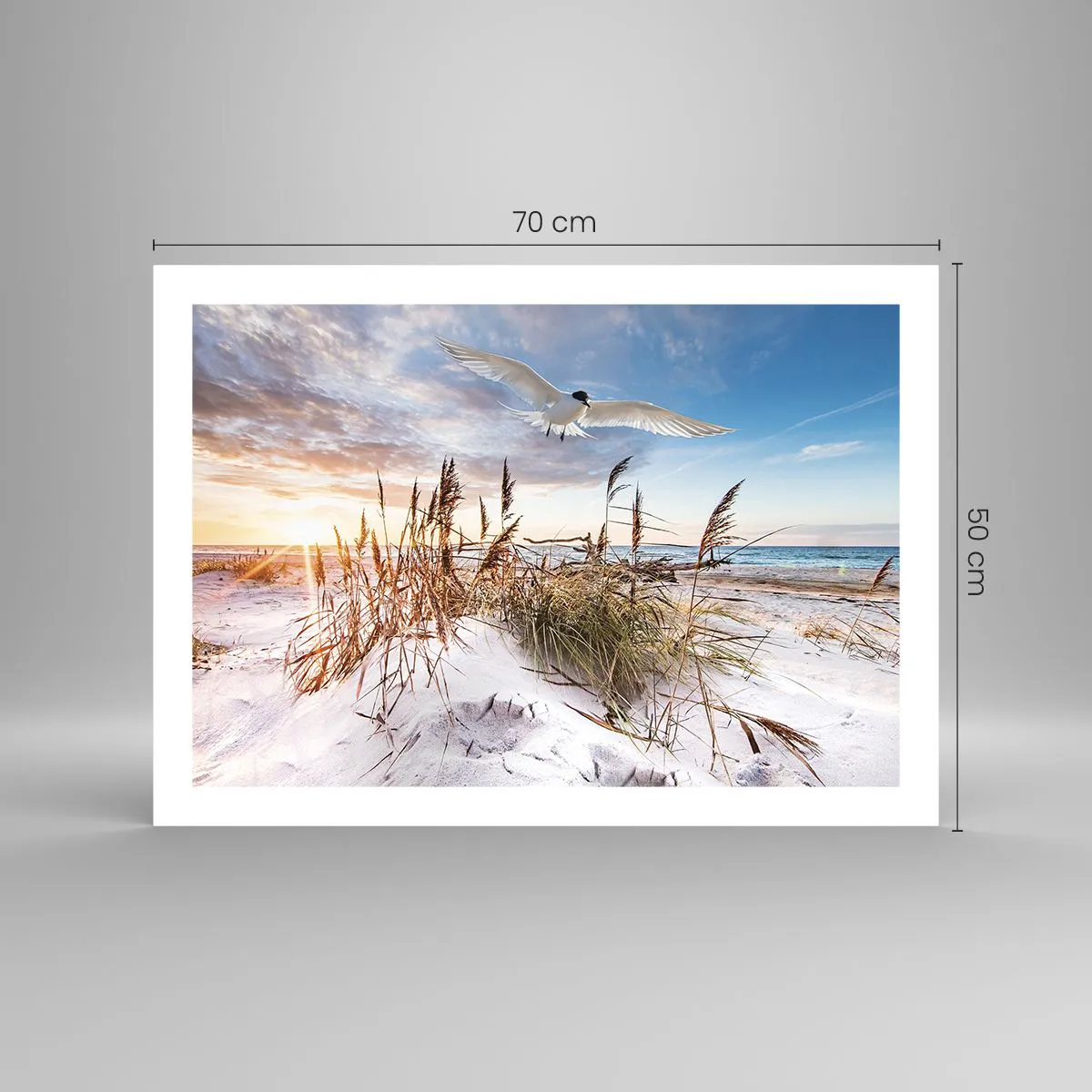 Poster - Wind from the Sea - 70x50 cm