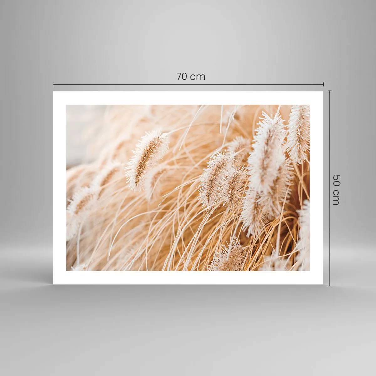 Affiche - Poster - Le bruissement doré de l'herbe - 70x50 cm