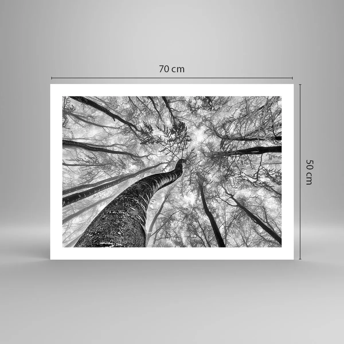 Poszter - Verseny a fény felé - 70x50 cm