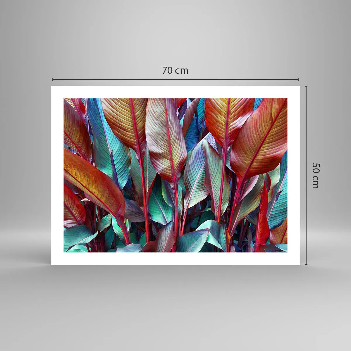 Poster - Selva colorata - 70x50 cm